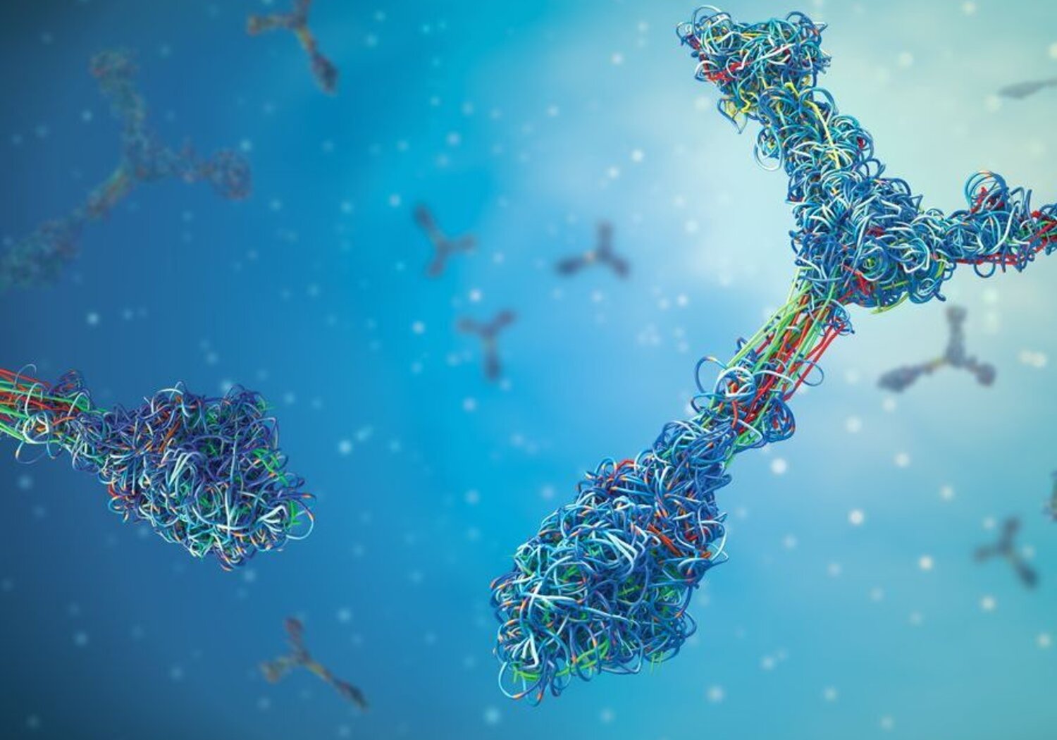 Image showing an artist’s concept of immunoglobulin antibodies.Against a light blue background is a close up of an illustration of two Y-shaped immunoglobulin antibodies