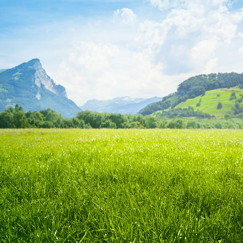 Image showing a bright green meadow with mountains in the distance