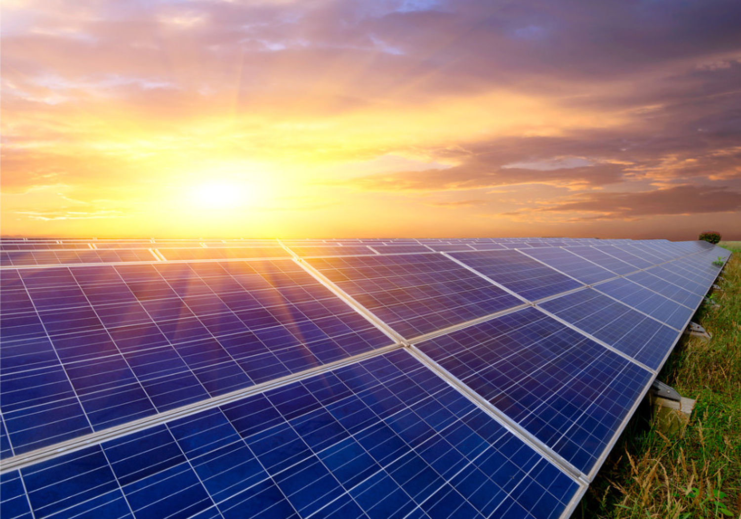 Image showing Photovoltaic cells in field at sunset
