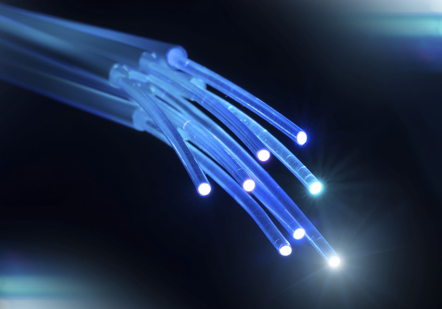 Image showing a bundle of fibre optic cables