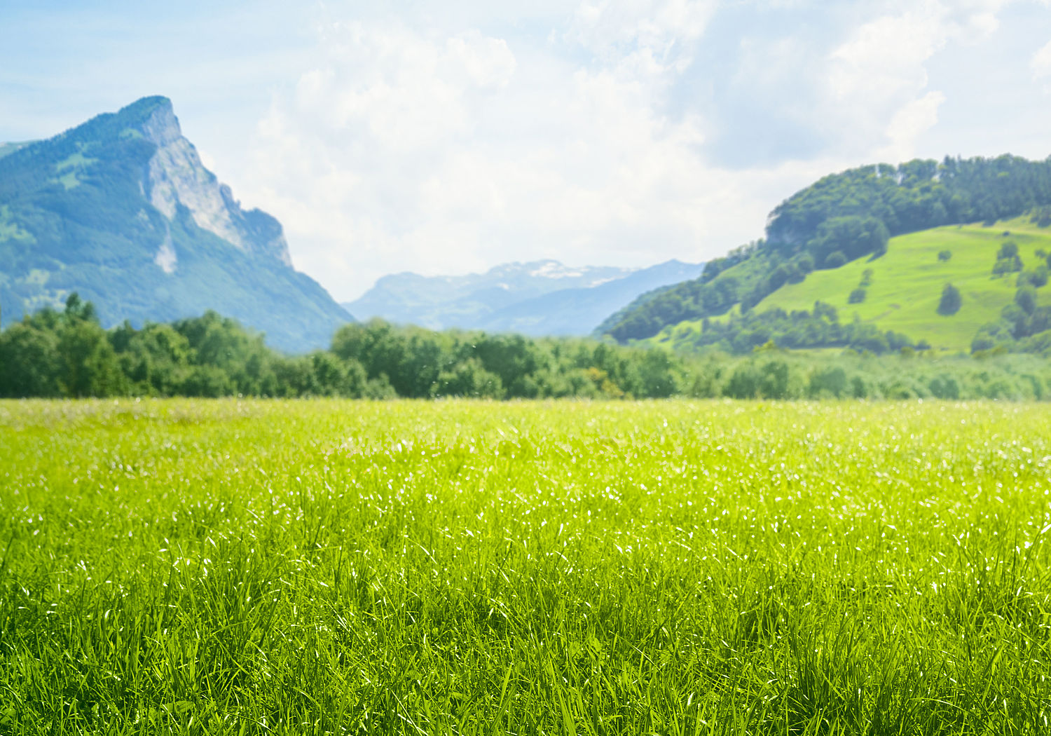 Image showing a bright green meadow with mountains in the distance