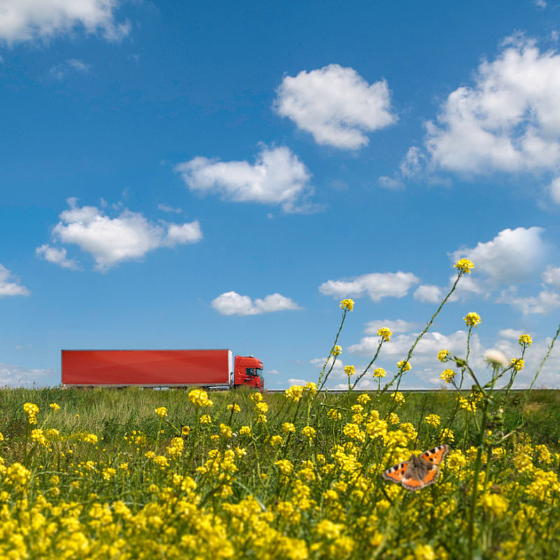 Improved measurements for making Europe carbon neutral Image showing a long red transport truck in a flower filled landscape