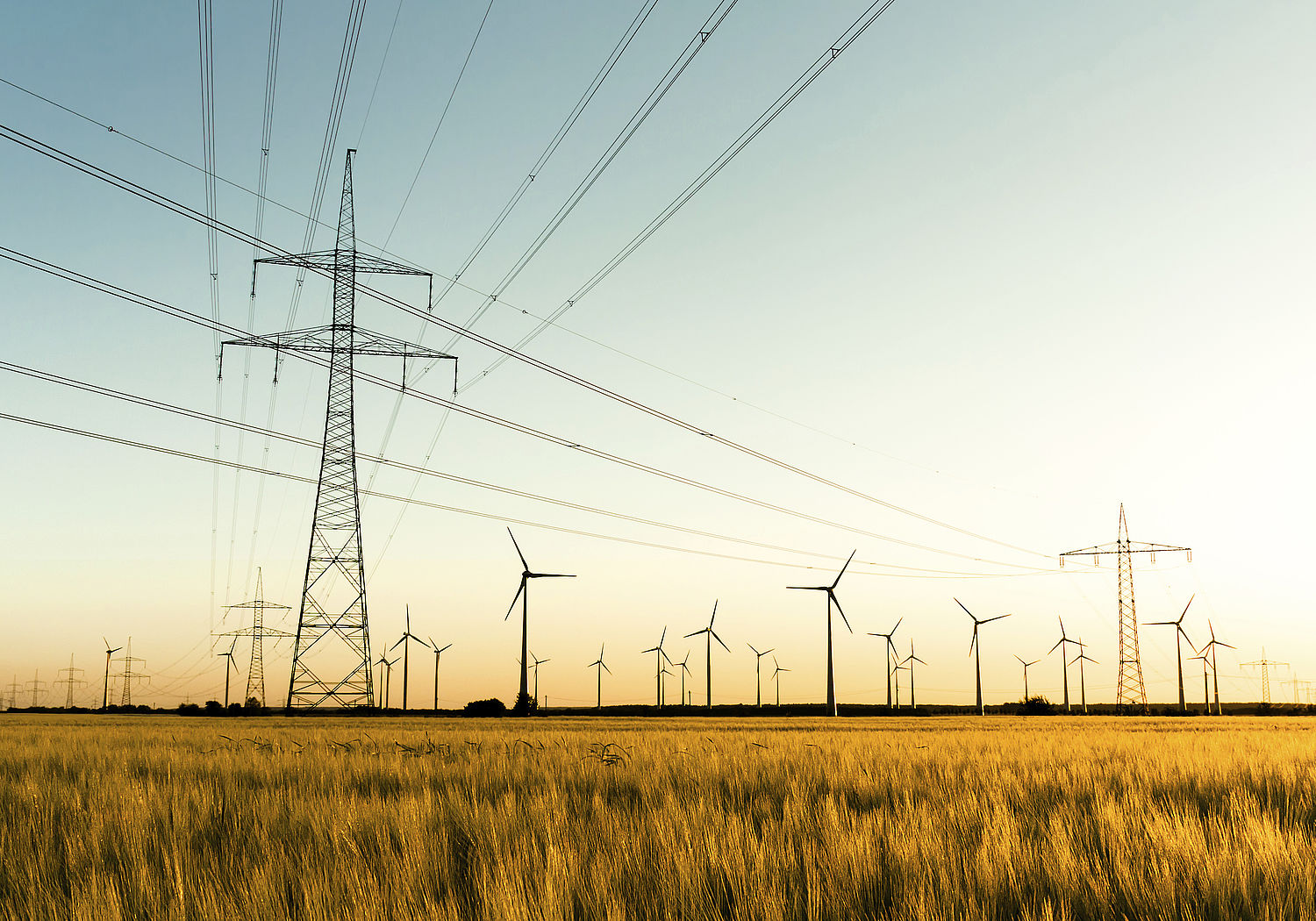 Image showing power lines and wind turbines in autumn sunlight
