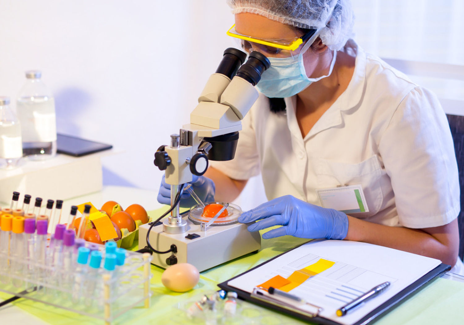 Image of a quality control expert inspecting chicken eggs in a laboratory