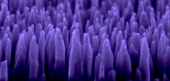 Courtesy of ElFys Oy