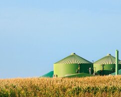 Image showing biogas energy plant in a corn field