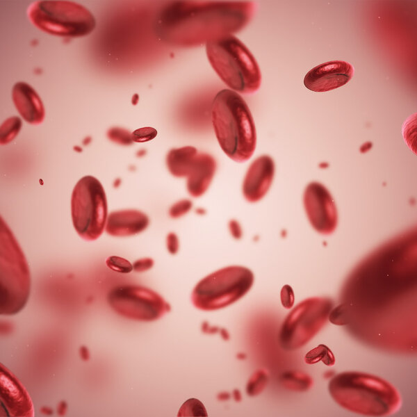 Image showing 3D render of red blood cells