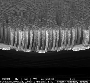 Microphoto in section of a sample of Silicon nanowires array fabricated by polystyrene nanosphere lithography and Metal Assisted Chemical Etching (MACE). With permission of the authors: E. Cara, L. Boarino, INRiM Nanofacility