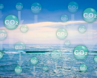 Stylistic image showing bubbles with CO2 written inside being drawn down to the ocean