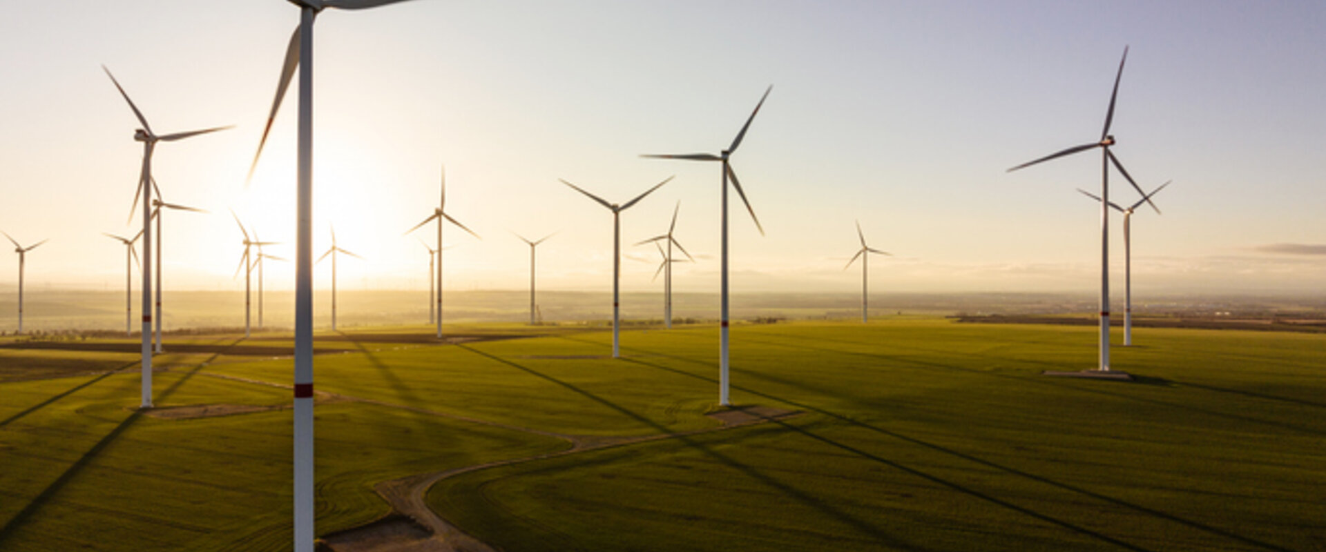 Turbines in a wind farm Image showing 17 turbines in a rural wind farm against the sunrise