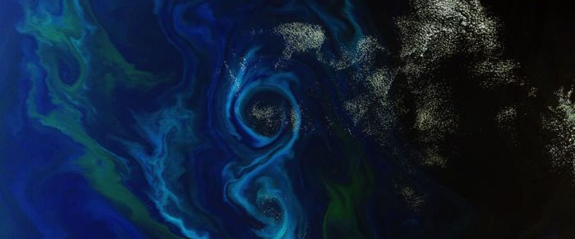 A southern summer bloom ESA