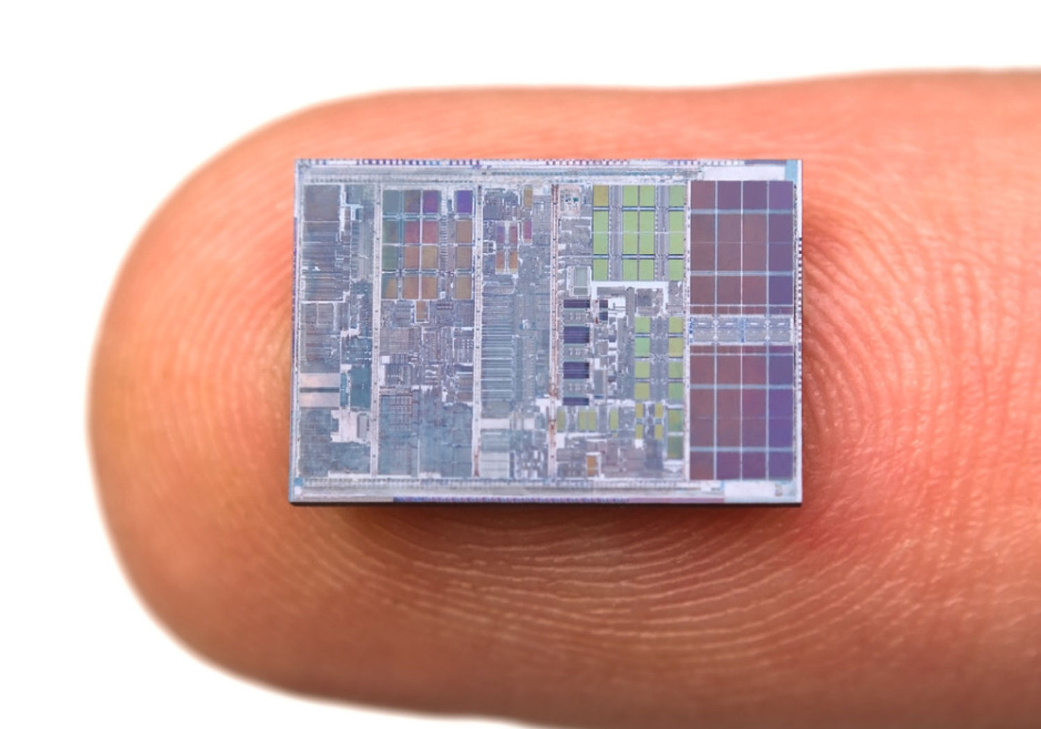 Image showing a Computer processor on human finger