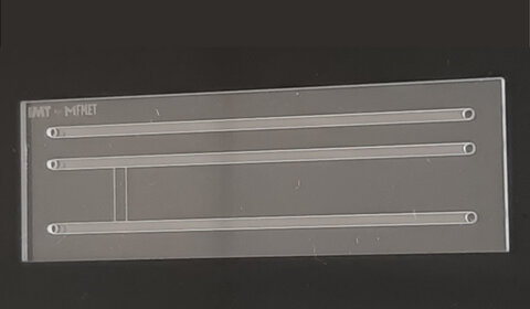 A close-up of a microfluidic device. Image courtesy of Elsa Batista (IPQ)