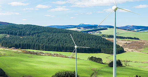Local wind power generation picture