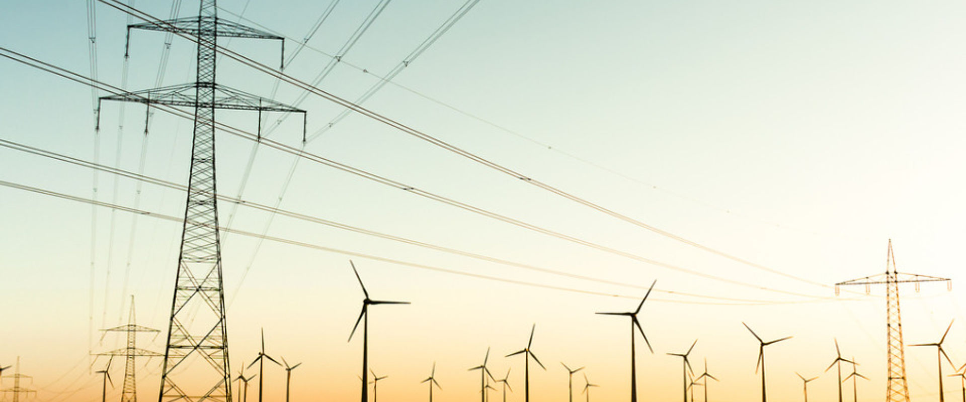 Power poles and wind turbines in autumn sunlight picture