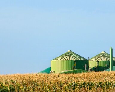 Image showing biogas energy plant in a corn field
