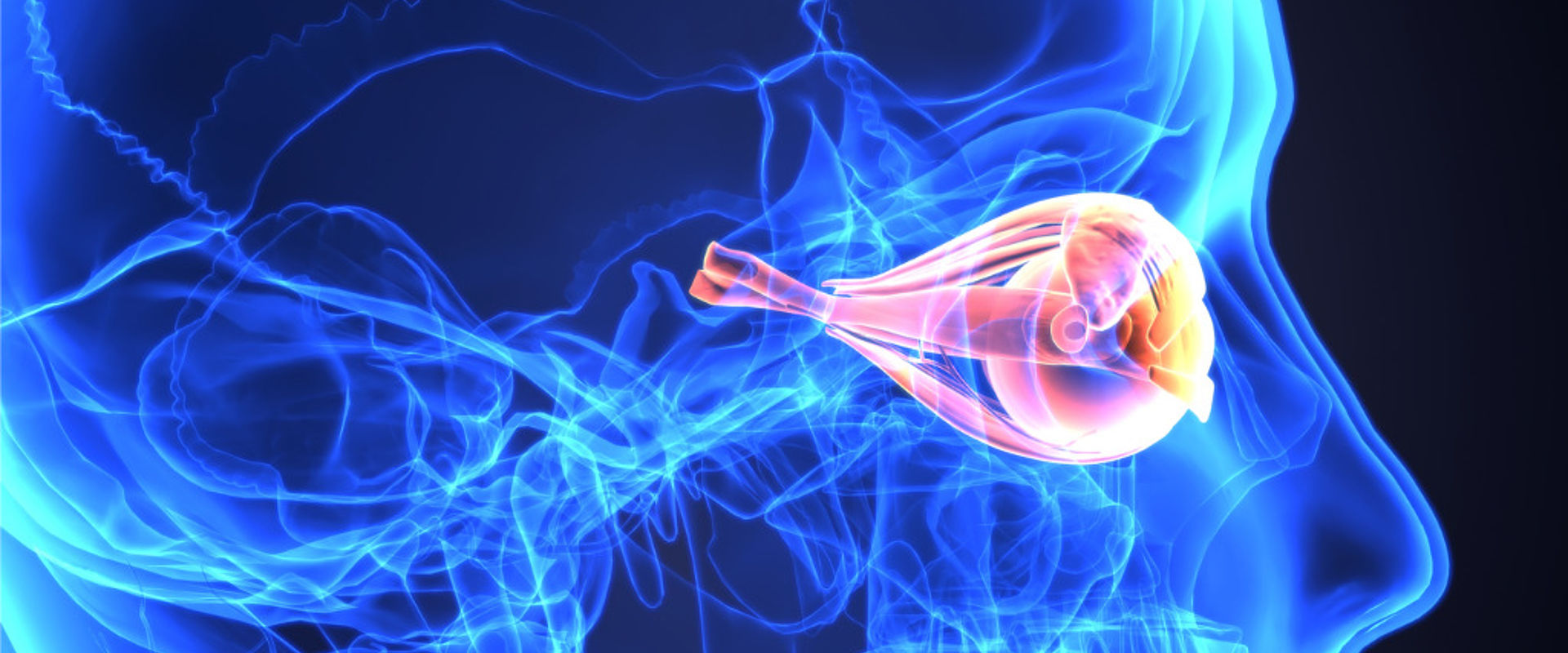 3D illustration of the human eye 3D illustration of the human eye