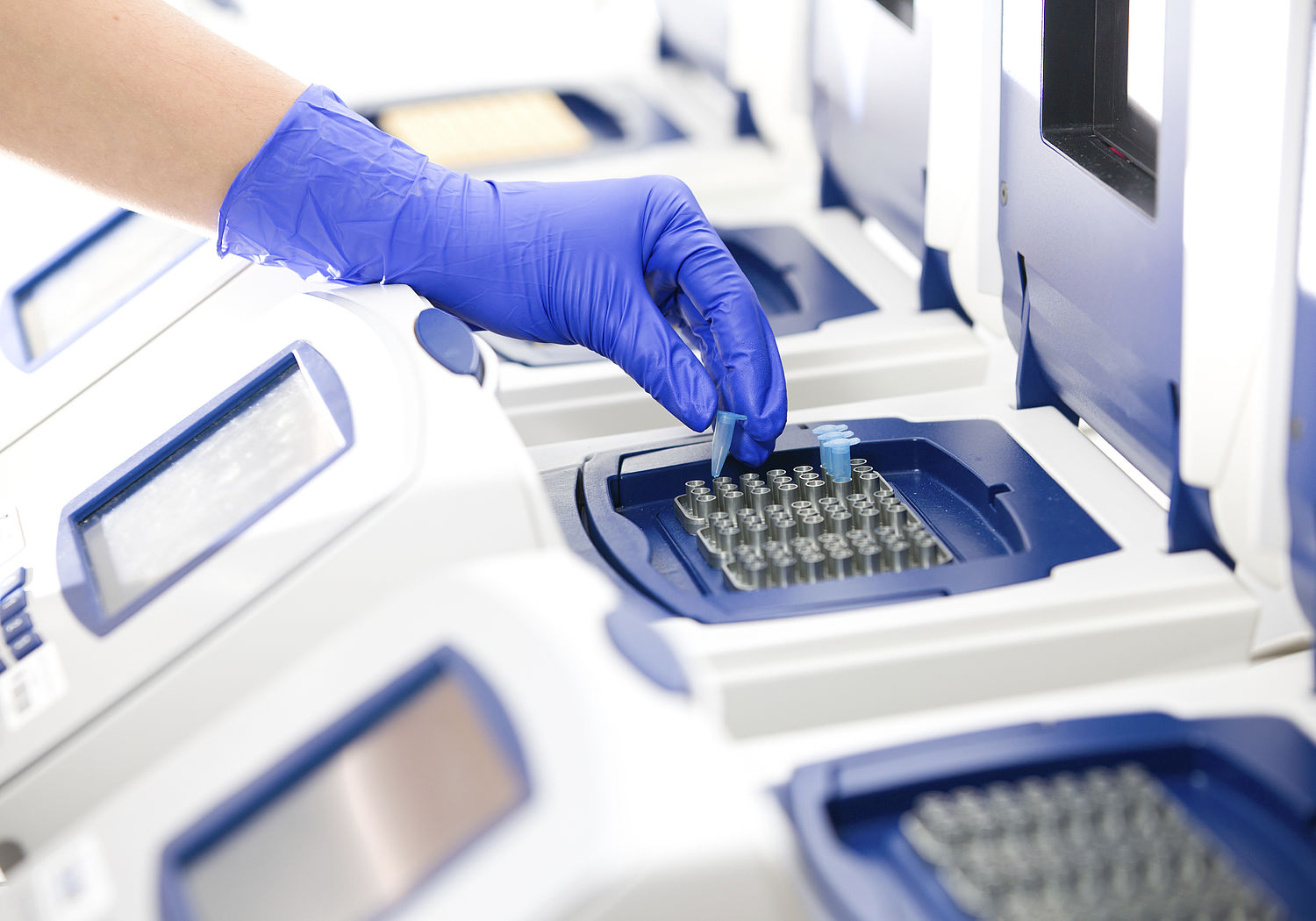 Image of a scientist using a real-time cycler to copy DNA