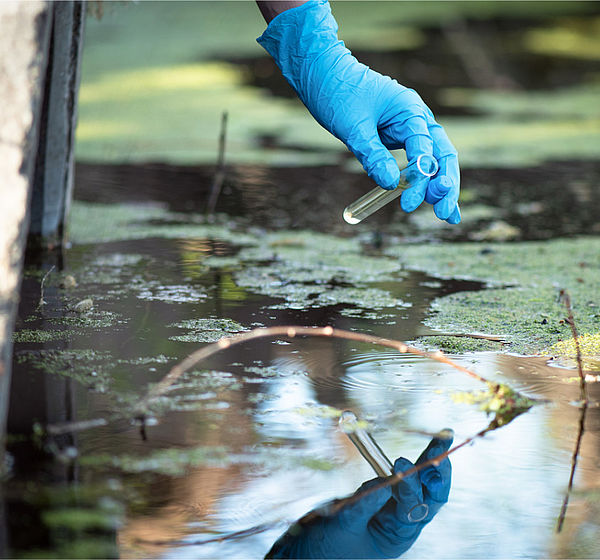 Image showing a scientist taking water samples from a  polluted pond