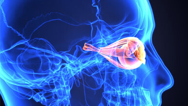 3D illustration of the human eye