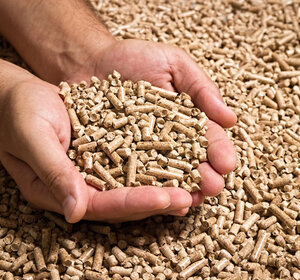 Wood pellets