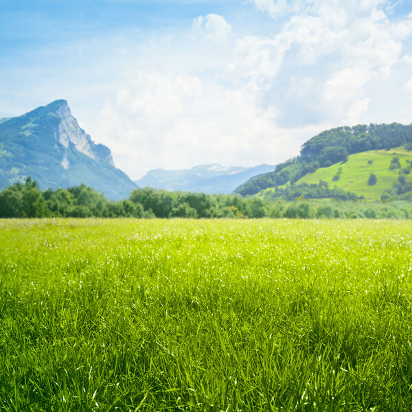 Image showing a meadow in the mountains