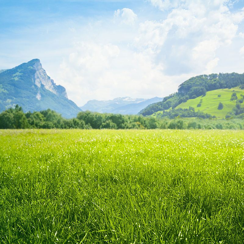 New metrology for monitoring air pollution Image showing a bright green meadow with mountains in the distance