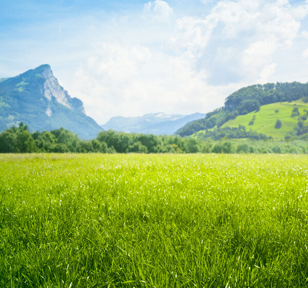 Image showing a meadow in the mountains
