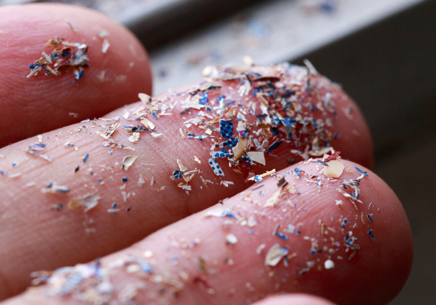 Image showing Microplastic particles