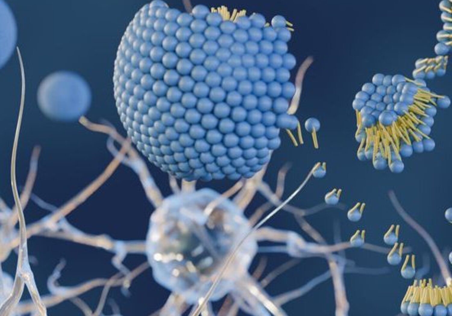 Image showing a 3D rendering of liposomes within the brain