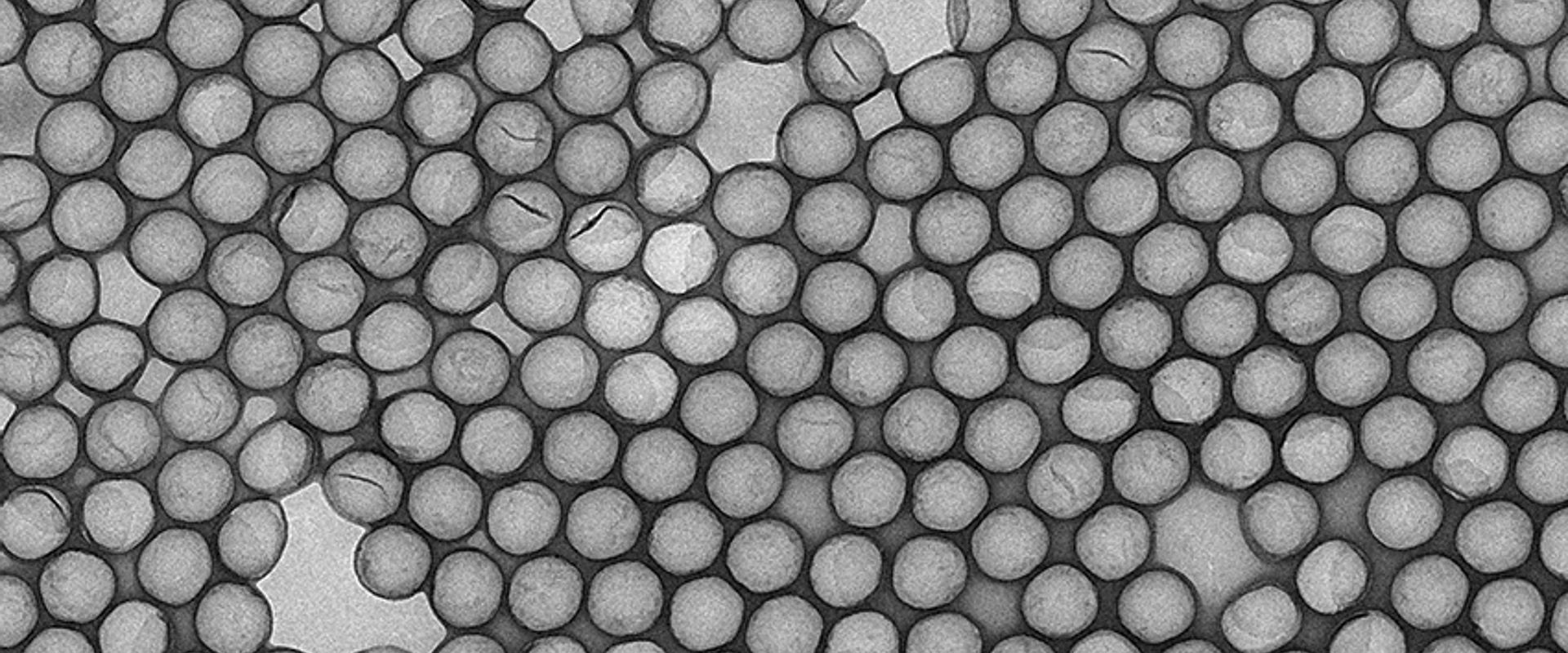 Transmission electron microscope image of “Verity Shells”. Credit: Exometry BV