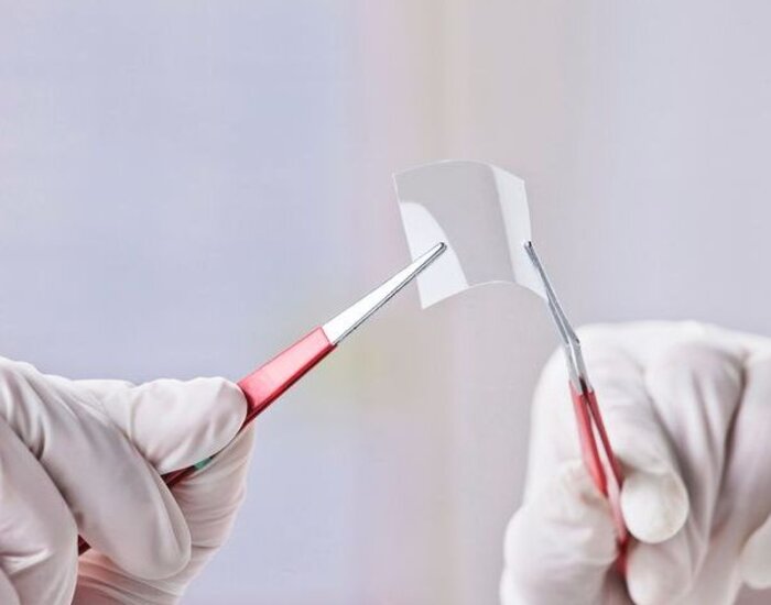 Image showing transparent piece of graphene