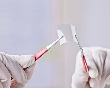 Image showing transparent piece of graphene