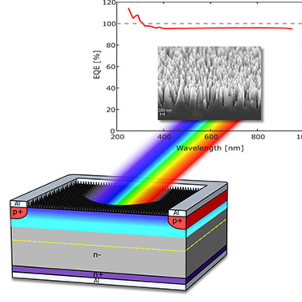 Structure and performance of the novel photodetector
