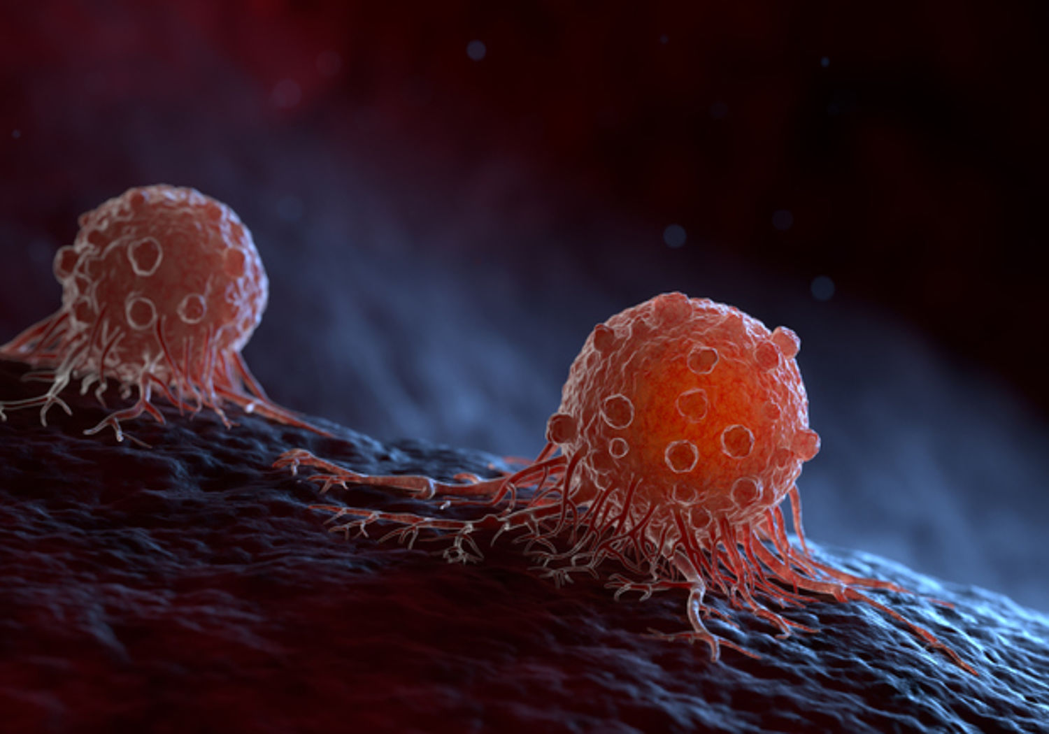 Image showing migrating cancer cells