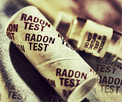 Image of a radon test kit