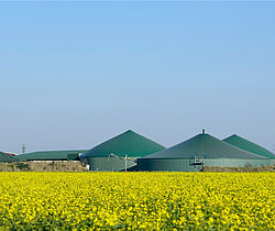 Image showing a biogas plant is a field of raper seed