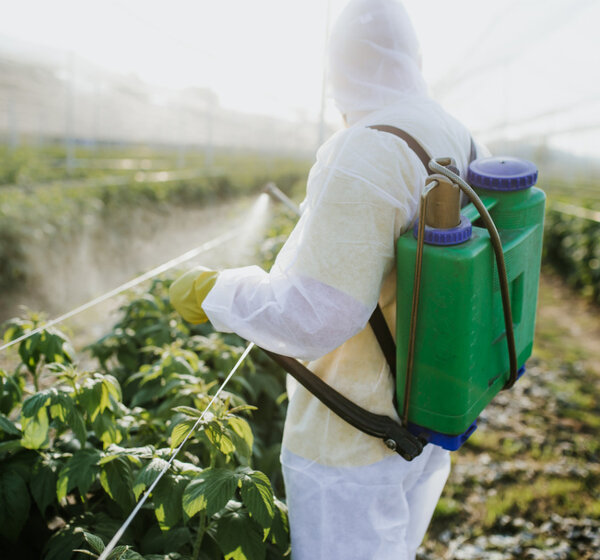 Image showing Agricultural worker attending to crops
