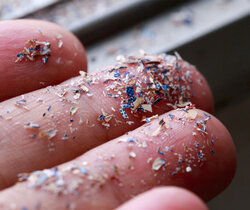 Image showing Microplastic particles