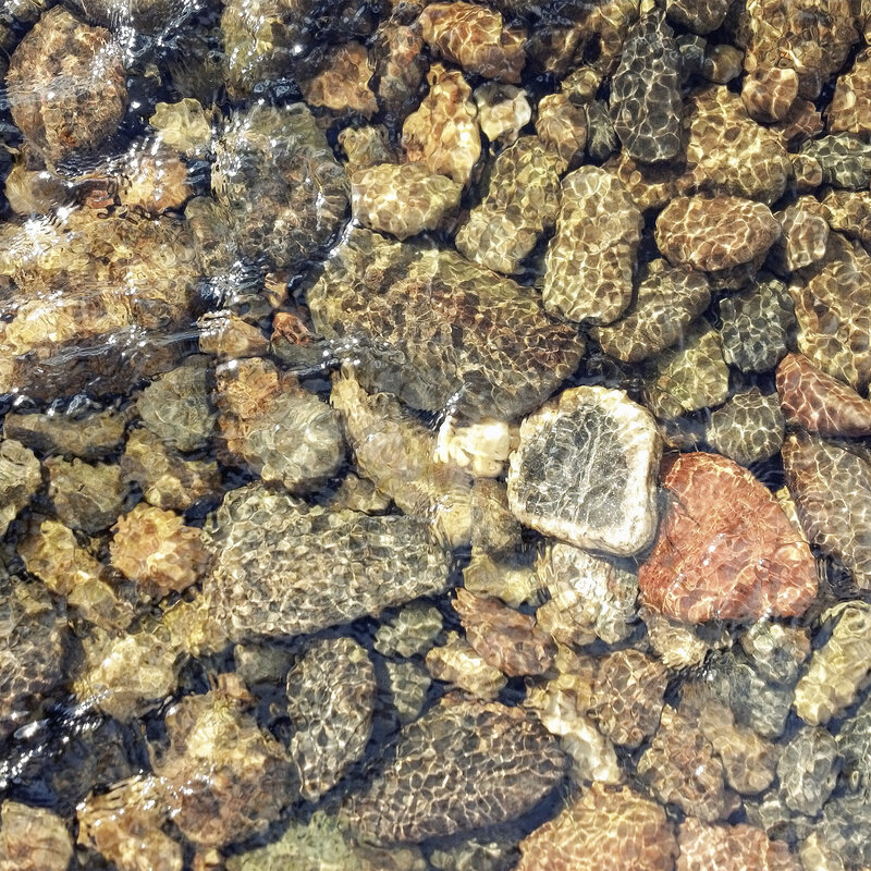 Metrology in support of the Water Framework Directive