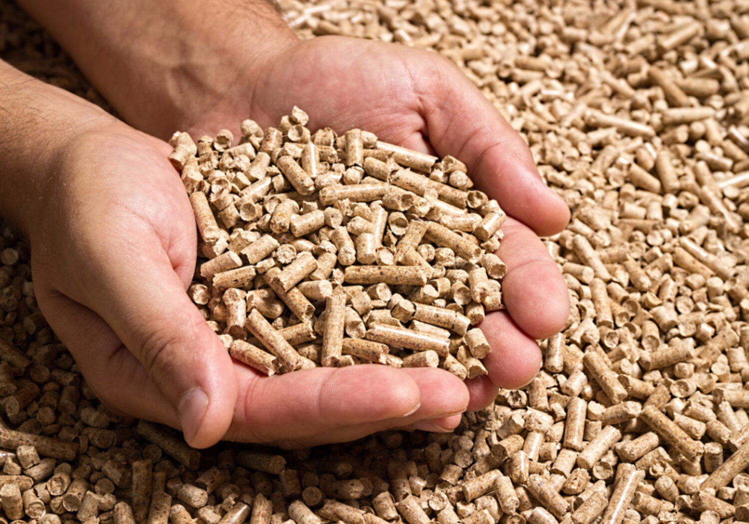 Wood pellets